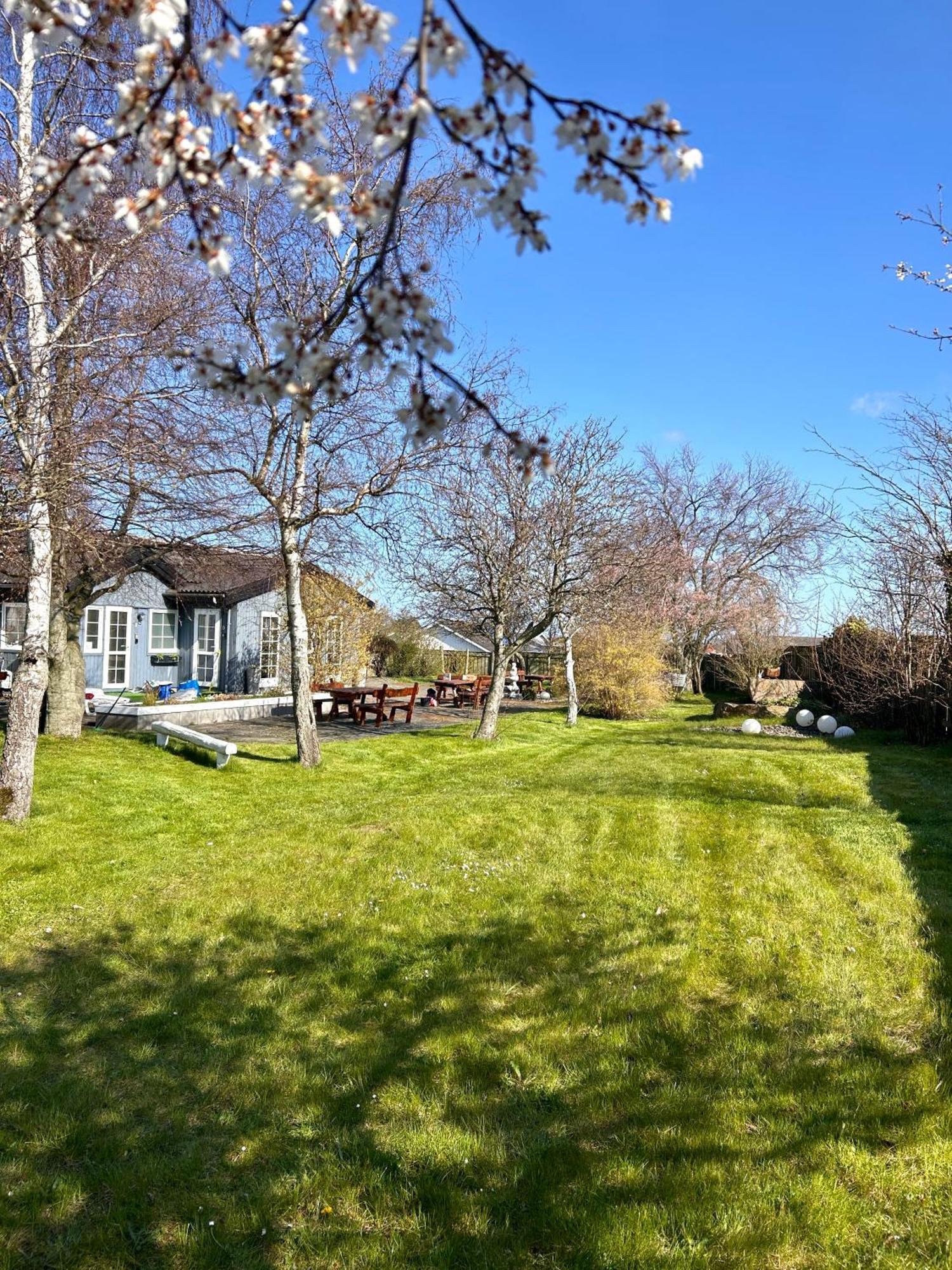 Apartamenty Neksø Esterno foto